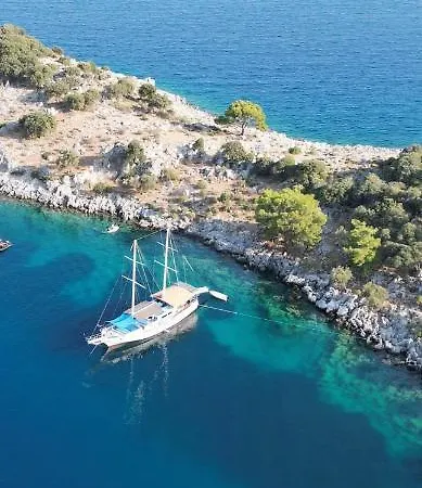 Beforelunch Cruise *